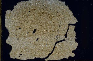 Cross Polarized, S47007