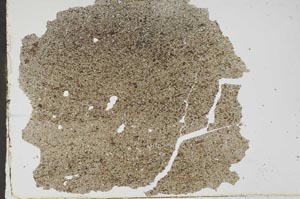 Plane Polarized, S47007