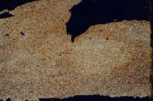 Cross Polarized, S47007/A