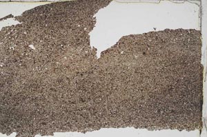 Plane Polarized, S47007/A