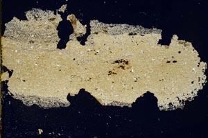 Cross Polarized, S47008