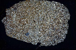 Cross Polarized, S47010