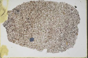 Plane Polarized, S47010