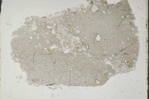 Plane Polarized, S47047