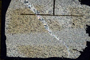 Cross Polarized, S47055