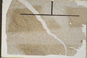 Plane Polarized, S47055