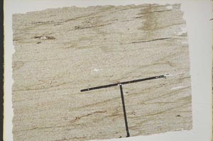 Plane Polarized, S47056