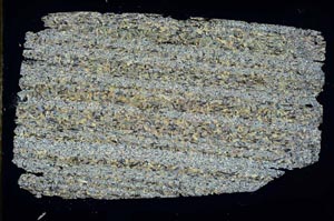 Cross Polarized, S47057