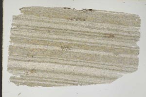 Plane Polarized, S47057