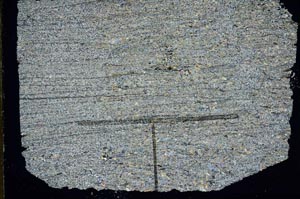 Cross Polarized, S47058