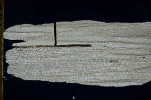 Cross Polarized, S47059