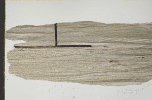 Plane Polarized, S47059