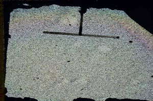 Cross Polarized, S47060