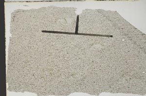 Plane Polarized, S47060