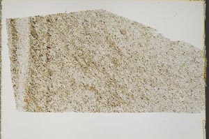 Plane Polarized, S47060/A