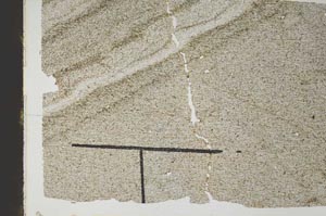 Plane Polarized, S47060/B