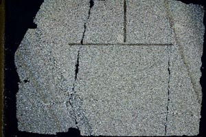 Cross Polarized, S47061