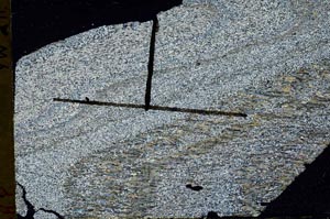 Cross Polarized, S47064