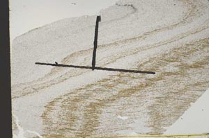 Plane Polarized, S47064