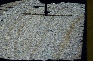 Cross Polarized, S47065