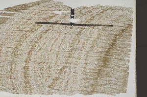 Plane Polarized, S47065