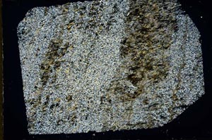 Cross Polarized, S47065/A