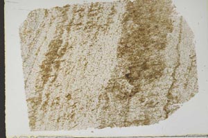 Plane Polarized, S47065/A