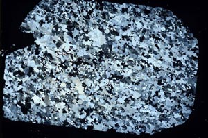 Cross Polarized, S47066