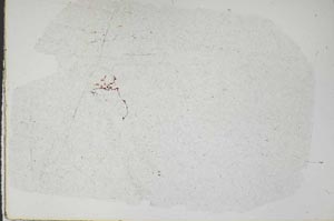 Plane Polarized, S47066