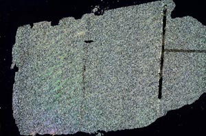 Cross Polarized, S47067