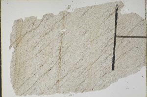 Plane Polarized, S47067