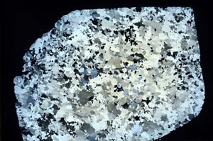 Cross Polarized, S47070