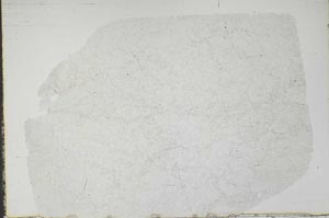 Plane Polarized, S47070