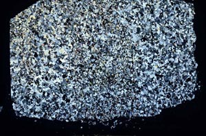 Cross Polarized, S47074