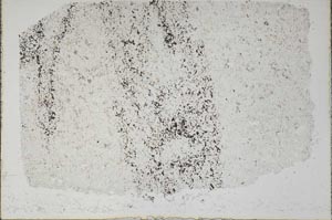 Plane Polarized, S47074