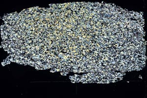 Cross Polarized, S47075