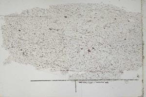 Plane Polarized, S47075