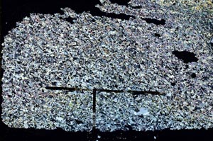 Cross Polarized, S47076