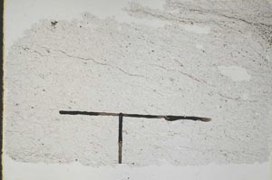 Plane Polarized, S47076