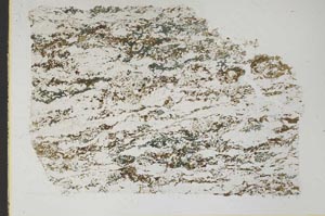 Plane Polarized, S47079
