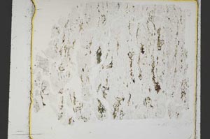 Plane Polarized, S47084