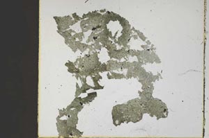 Plane Polarized, S47095/A