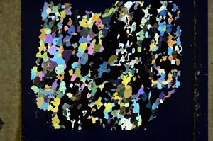 Cross Polarized, S47106