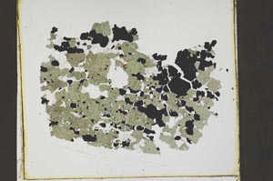 Plane Polarized, S47114