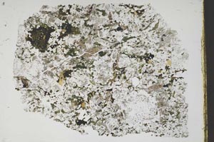 Plane Polarized, S47200