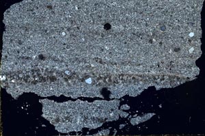 Cross Polarized, S47203