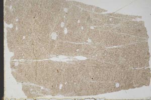 Plane Polarized, S47205