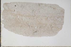 Plane Polarized, S47207