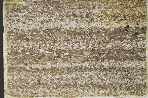 Plane Polarized, S47213