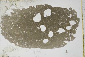 Plane Polarized, S47221